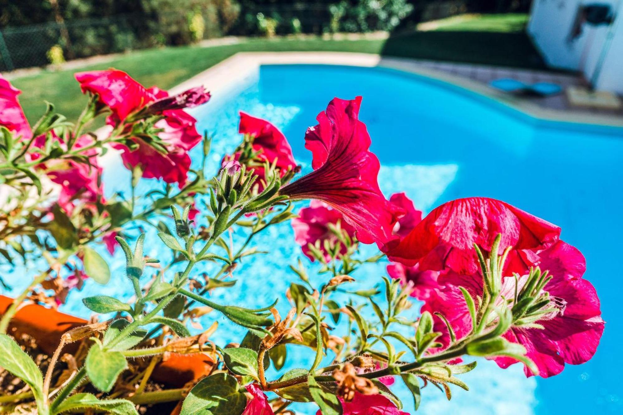 Bed and Breakfast Estalagem Bela Vista Мондін-де-Башту Екстер'єр фото